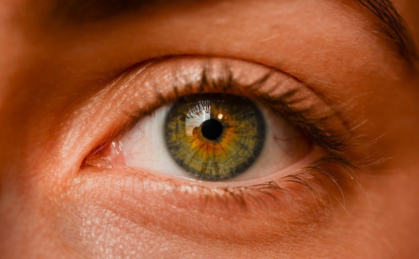Oczy to wyjątkowy organ. To właśnie dzięki nim rozróżniamy.